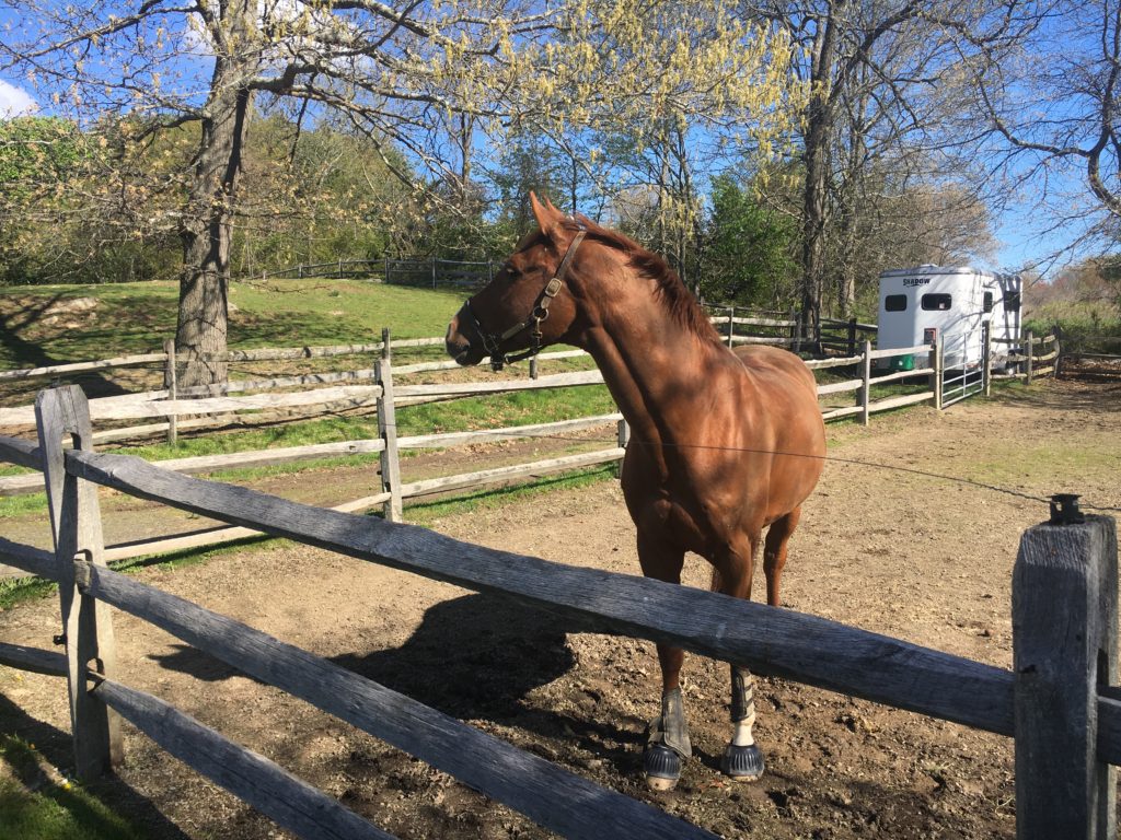 Enjoying the Fresh Air